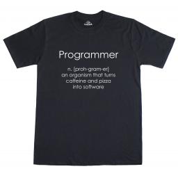 Programmer Coder